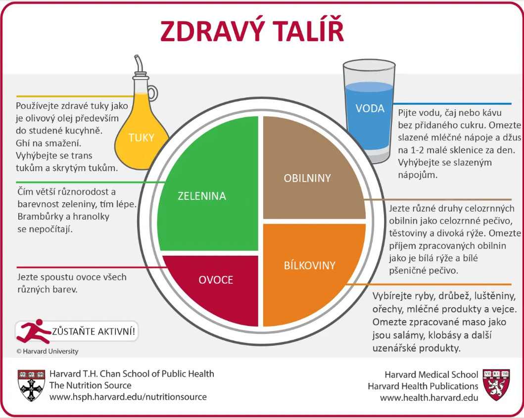 Harward Zdravy talir