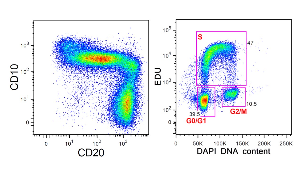 cytometrie