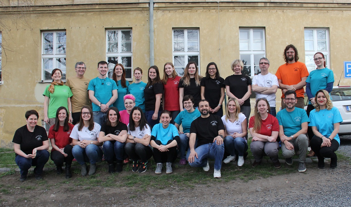 019 laborka 2019