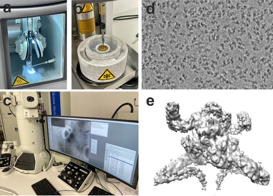 cryoem 1 1 2