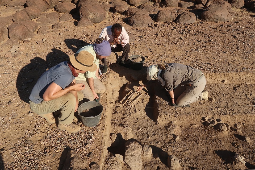 5 PNAS Lenka Varadzinová