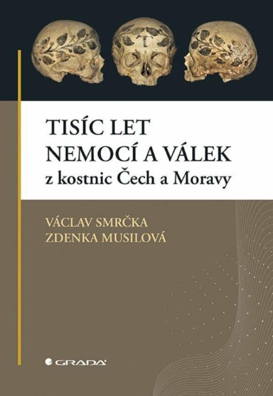 Snímek obrazovky 2025 06 27 143318