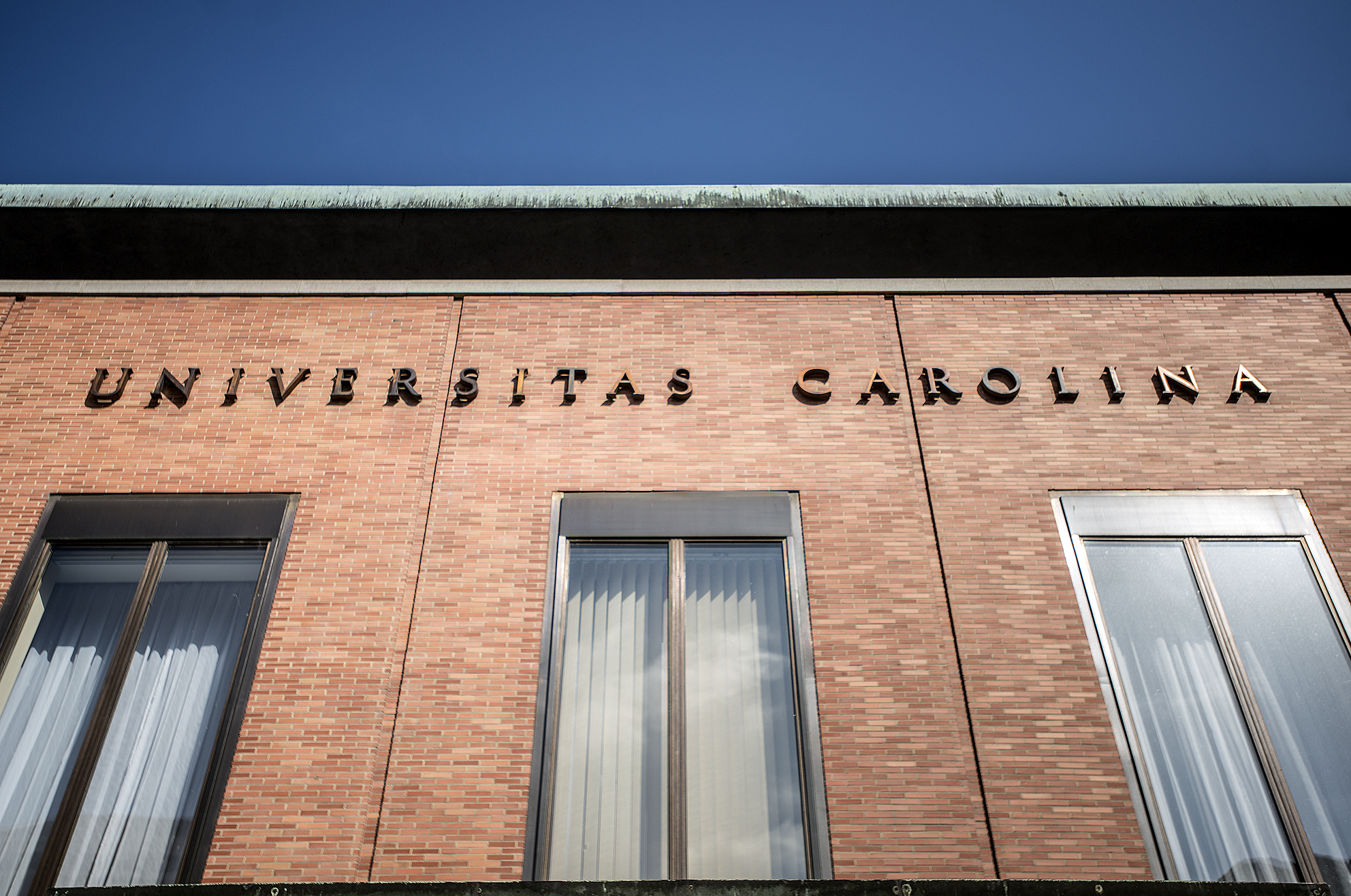 5de13041 0d3c 4dd2 8cc1 686e059eeb28 (1)