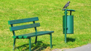 Příroda nabízí útěchu a klid. Snad teď získá na vážnosti