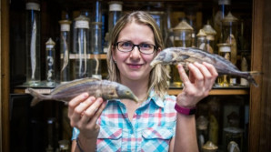 Ryby kupuji podle hlavy