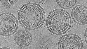 Martin Obr: Vždy jsem byl fascinován strukturní biologií