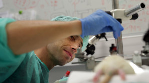 Spánková aktivita mozku se ve zdraví a nemoci liší