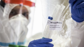 Co nového víme o koronaviru: pohled odborníků UK