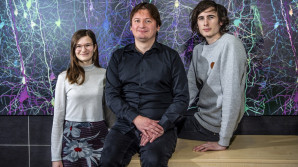 Výcvik studujících pomůže v práci s ohroženými dětmi