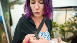 Výstava bezobratlých zlepšuje povědomí o stavu přírody