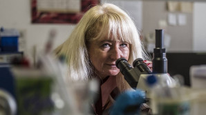 Prodlužujeme lidem roky života strávené ve zdraví