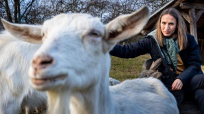 Sociální zemědělství? Když nejde jenom o úrodu