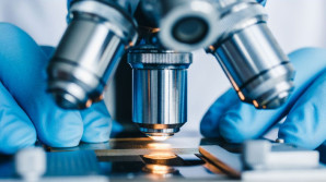 Univerzita Karlova si posvítila na svoji vědu: Kdo vyniká?