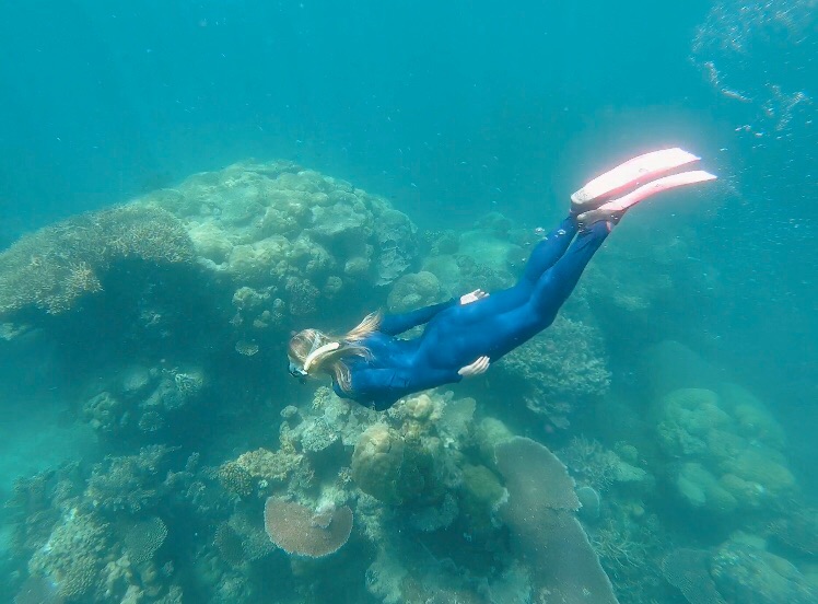 AU FotoGreat Barier Reef