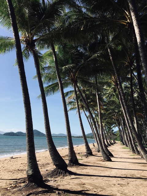 AU FotoPalm Cove