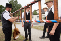 lapanje_kokota_EGO_13_original