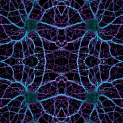 Neuron-growth_original