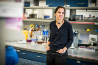 a3e27c7c-a1e0-438c-ac03-2e37888984e1_original