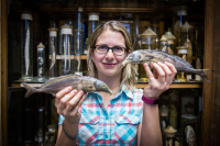 e46f88b6-730d-4cc1-9e8e-1931b3bde9dc_original