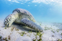 15800265_10206036065779173_5837946497564404699_o_original