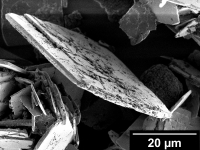 zeoliteSEM2_original