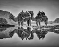 Jordanko_Wadi_Rum_original