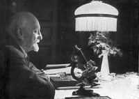 nemec_mikro_original