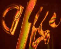 galerie_7_original