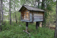 005-IMG_1217_original