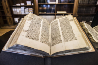 3da2c88c-9308-4aff-8d59-9f26cbb64712_original