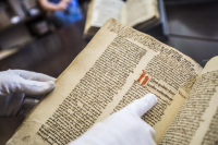 84393abf-c362-43f4-9c7c-c9139fa145c4_original