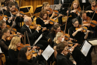 2024_11_17_Velka_aula_051_original