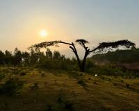 IMG-20260203-WA0023_original