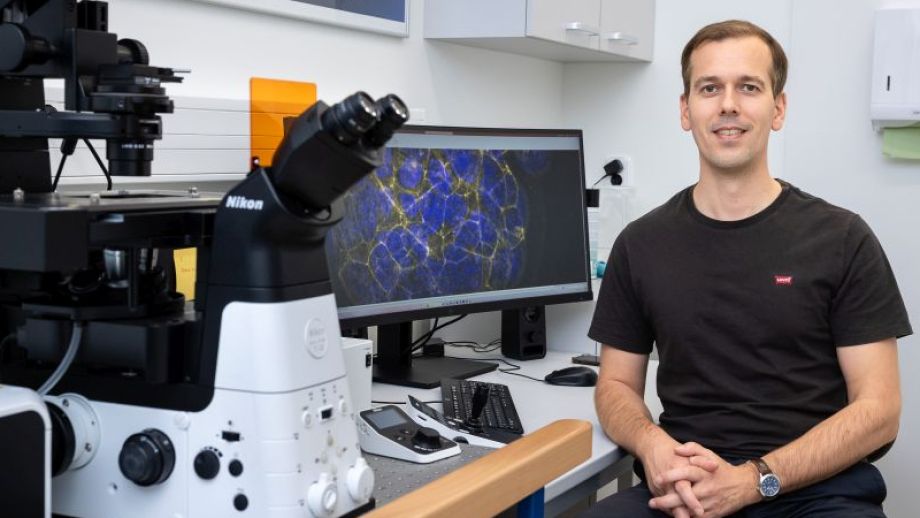 Jsme  o&nbsp;krok bl&iacute;ž  k&nbsp;odhalen&iacute; př&iacute;čin neplodnosti