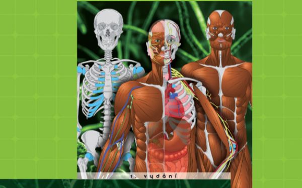 Memorix anatomie – nová revoluční vysokoškolská učebnice