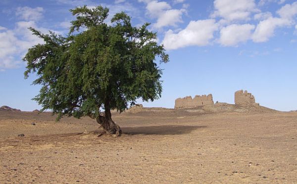 Czech Research in Egypt´s Western Desert Shown in Exhibition at 20 Celetná Street