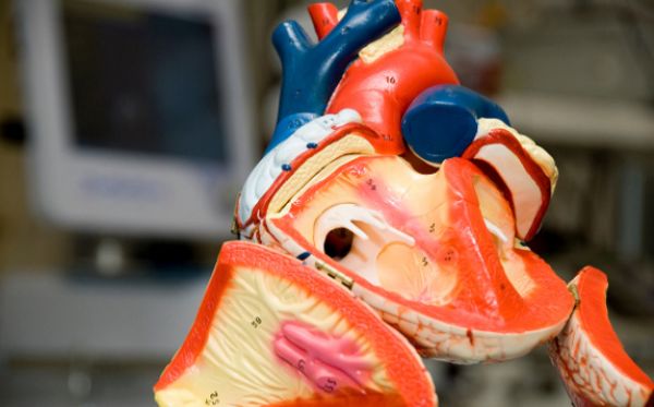 Kardiologové ze 3. lékařské fakulty UK zkouší revoluční metodu léčby infarktu