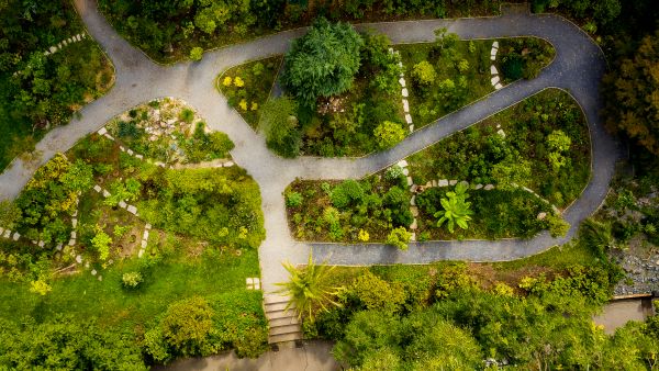 Udržitelněji s využitím dešťovky, nově i v Botanické zahradě