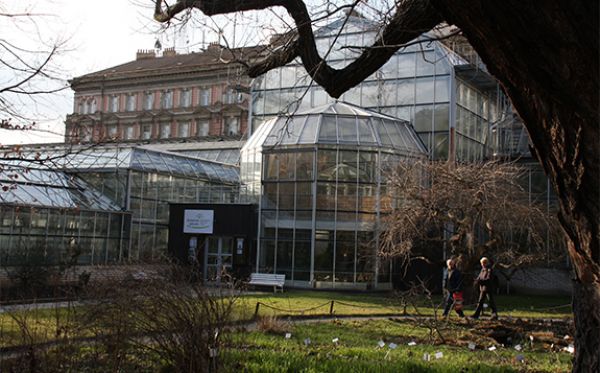 Prostor na UK: Botanická zahrada Na Slupi