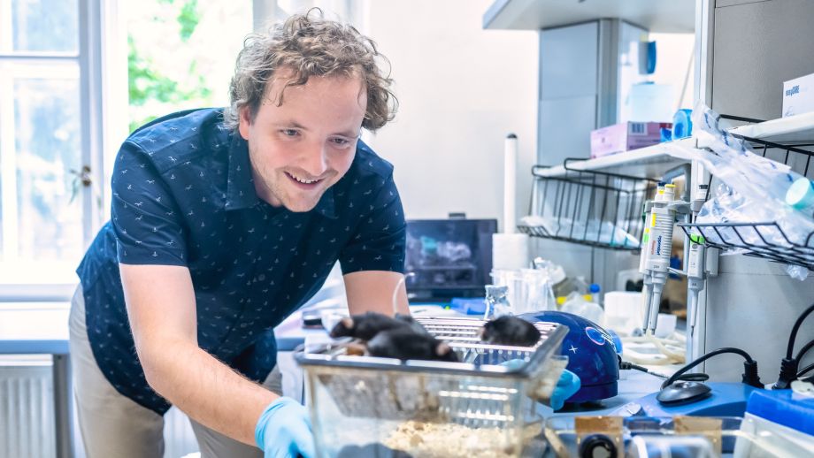 All about  a new type of immune cell