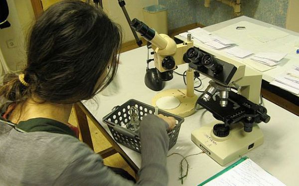 Studenti se zájmem o přírodní vědy a techniku se zabaví v Talnetu