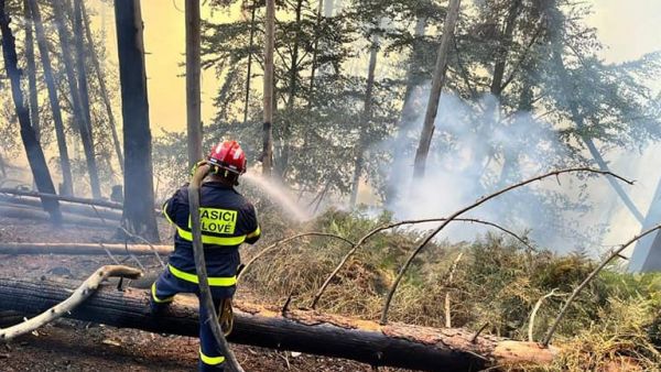 Massive blaze ravages Czech national park