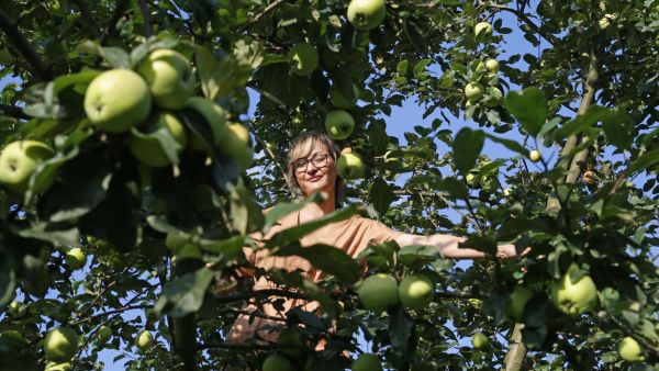 Jíst zdravě není věda, tvrdí nutriční epidemioložka