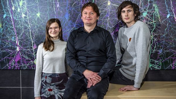 V&yacute;cvik studuj&iacute;c&iacute;ch pomůže v pr&aacute;ci s ohrožen&yacute;mi dětmi