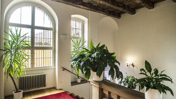 Historic Opitz House: Accomodation for university guests