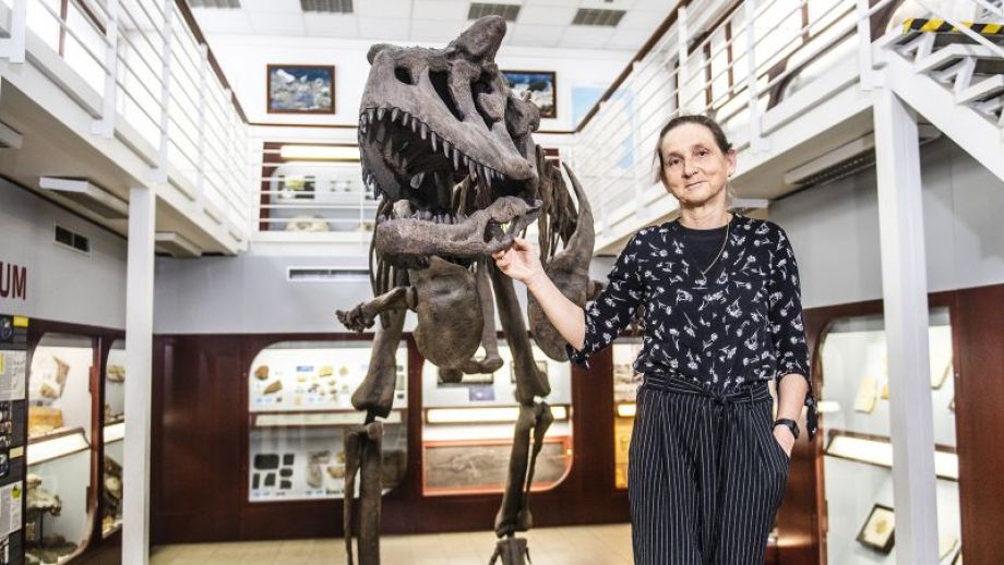 Geobiologie odpovídá  i na otázky spojené  s klimatickou změnou